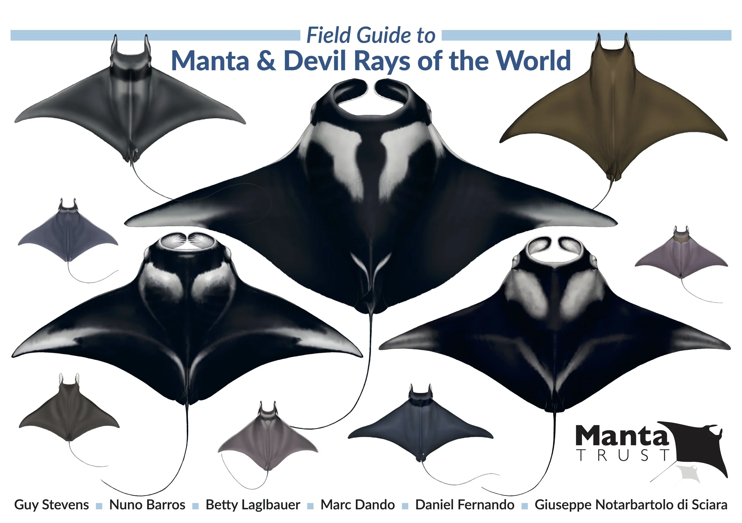 Manta Books — Manta Trust